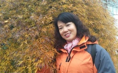 停不了的爱快播